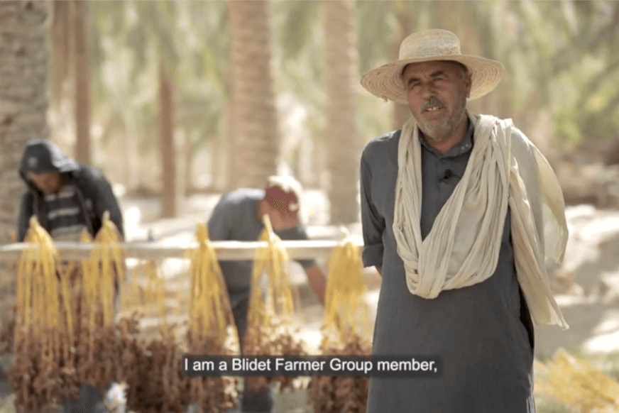 Date producer Testimonial, affiliated to the ADG of Boudjebel VACPA