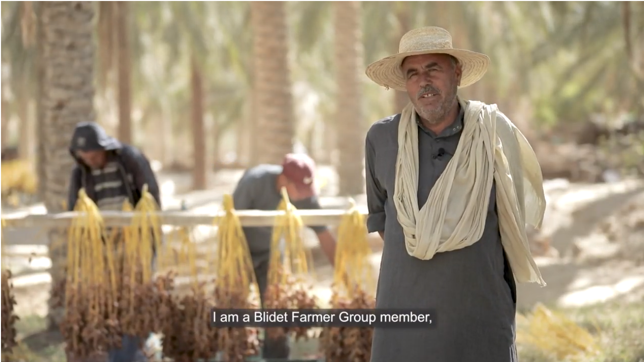 Date producer Testimonial, affiliated to the ADG of Boudjebel VACPA