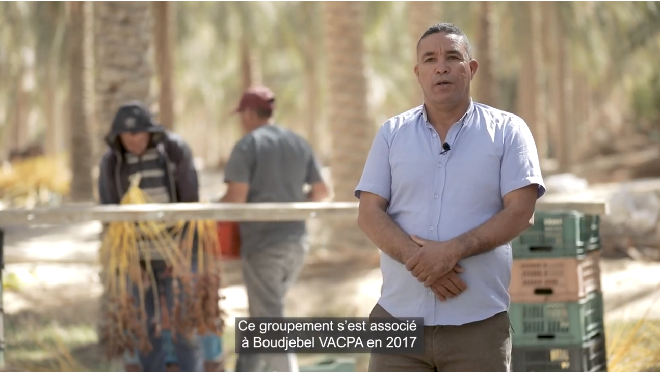 Nouri Ben Othmane, Collecteur de dattes pour Boudjebel VACPA