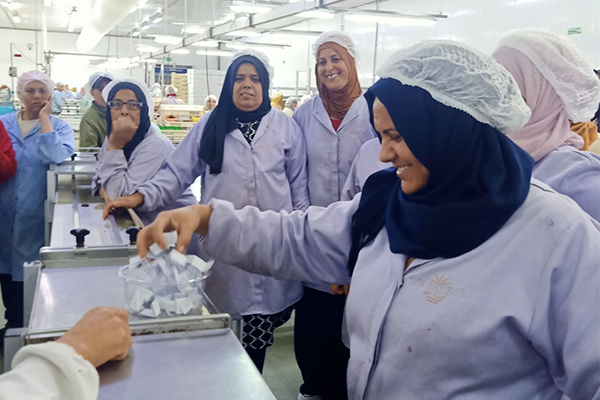 Corporate Social Responsibility: BOUDJEBEL Supports Eid al-Adha Corporate Social Responsibility: BOUDJEBEL Supports Eid al-Adha