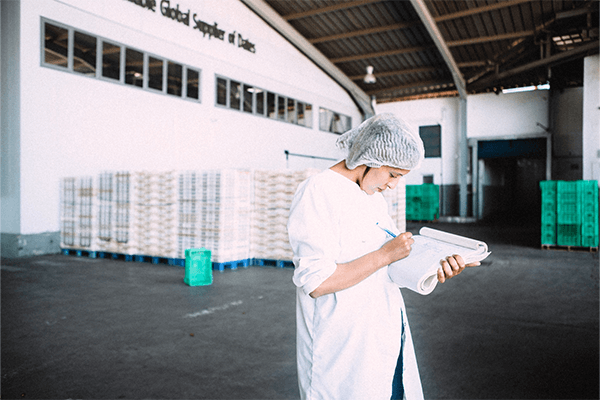 VACPA Boudjebel’s Carbon Footprint Assessment: Driving Sustainability in the Global Date Export Industry