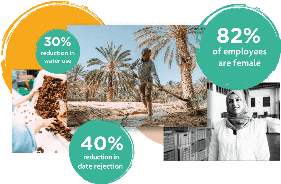 image-vcapa2 image-vcapa2