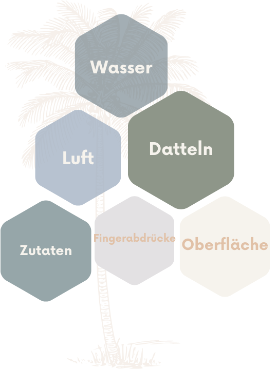 vacpa-deglet-noor-tunisia