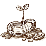 partnerships-deglet-noor-vacpa