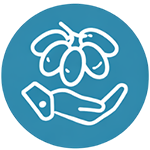 deglet-noor-vacpa-responsibility