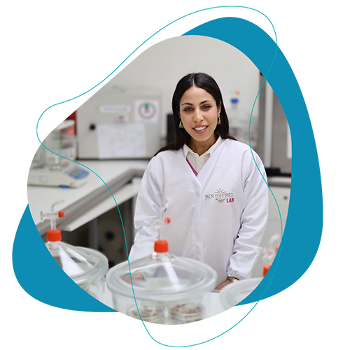 vacpa-deglet-noor-tunisia