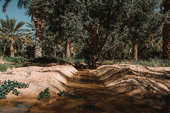 Towards Greener Agriculture: Boudjebel’s Sustainability Initiatives